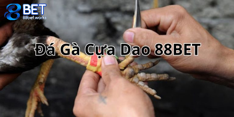 Đá gà cựa dao 88bet thumb